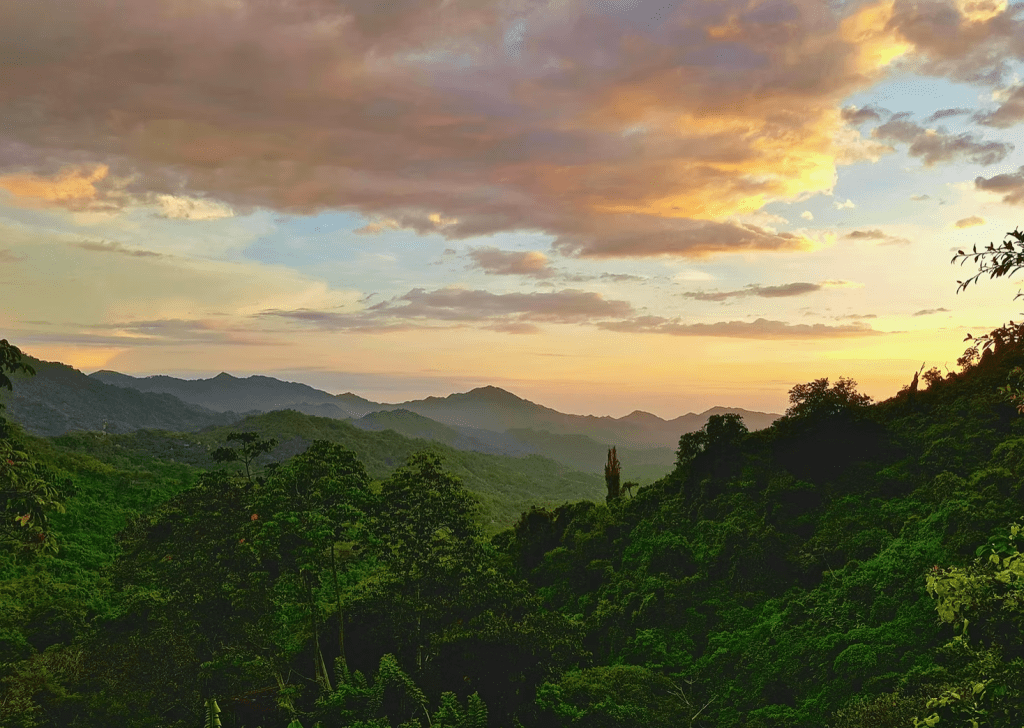 When Conservation Serves Capital: Global Lessons from Colombia’s Mining&nbsp;Crisis