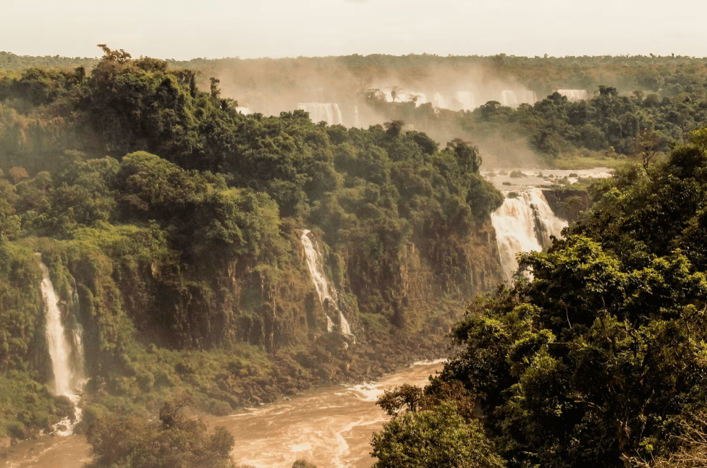 Hidden in the Amazon: Economic Exploitation and Erasure of Uncontacted&nbsp;Tribes