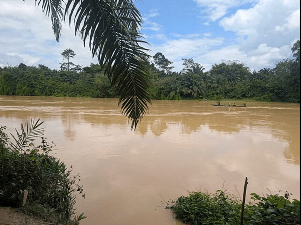 Galamsey In Ghana: An Aggressive Form of Neocolonialism or the Lovechild of Equal Sino-Ghanaian&nbsp;Responsibility?